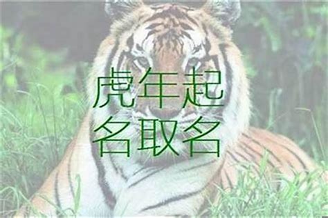 虎喜用字|属虎的起名字喜忌用字 属虎取名宜忌用字大全